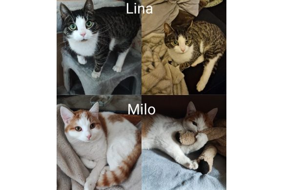 Milo und Lina