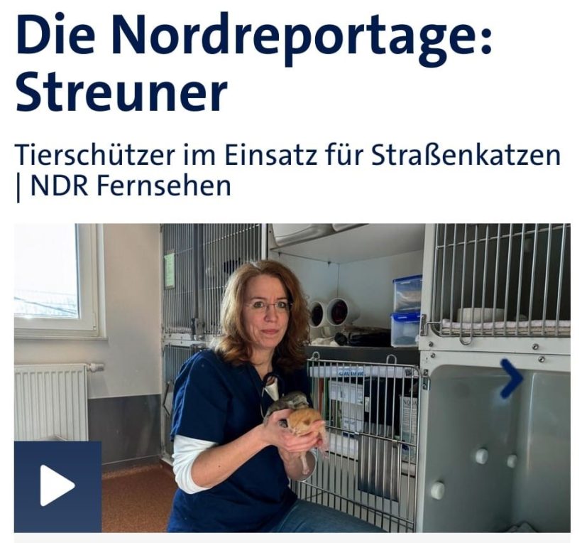 Wir waren im NDR!